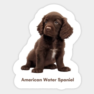 American Water Spaniel Sticker